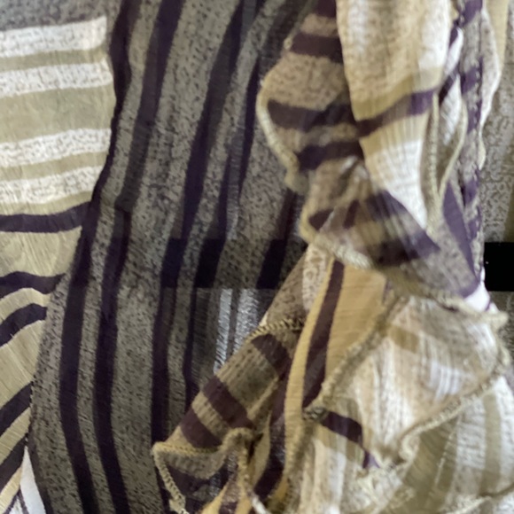 Grege Stripe Romantic Ruffle Sheer Blouse - Picture 4 of 7